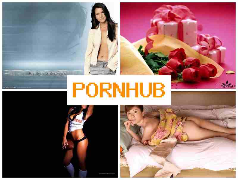 PORN HAB 🔶 Webcam Ass Dildo, Anal Milf Porn
