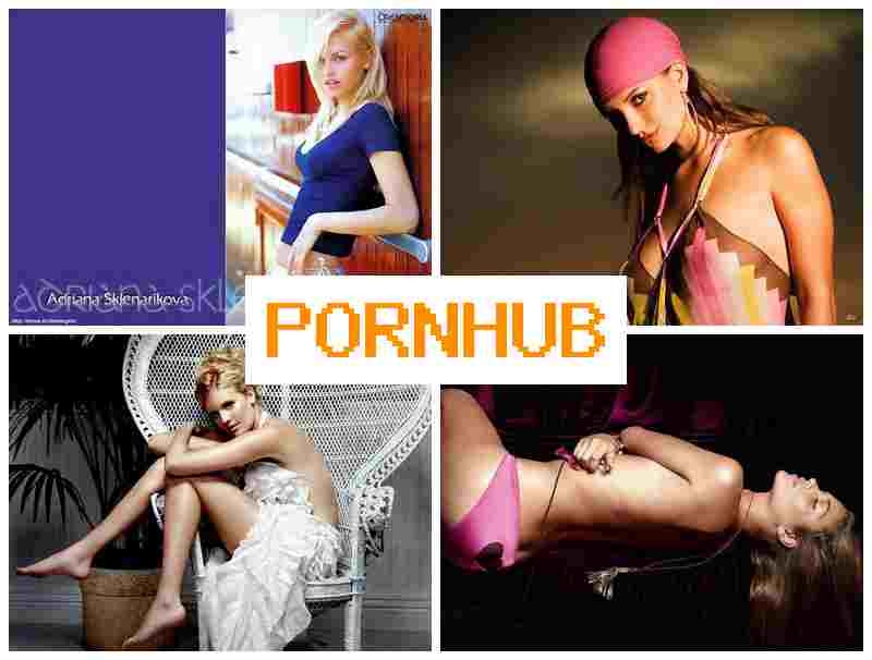 POFNHUB 💞 Webcam Blowjob HD